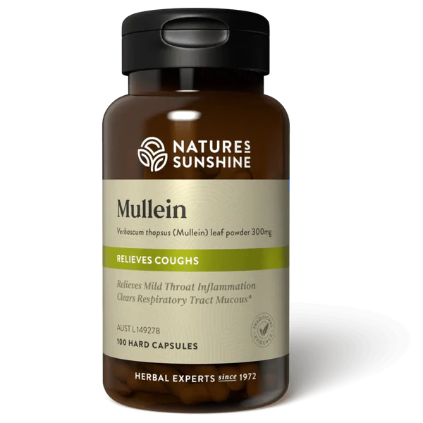 Mullein