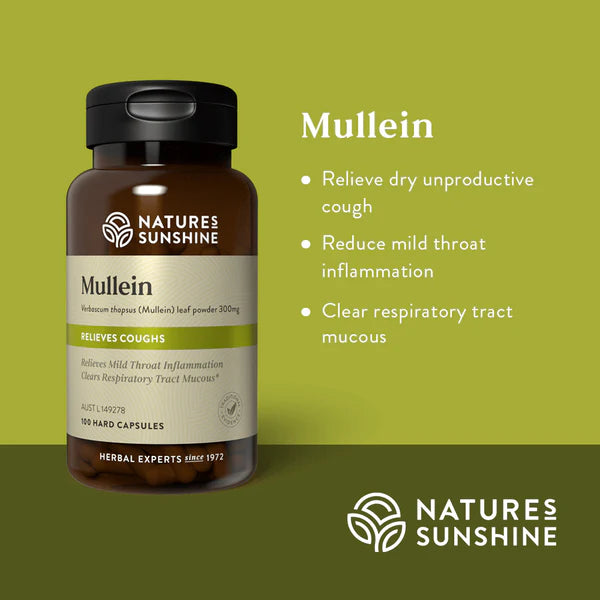 Mullein