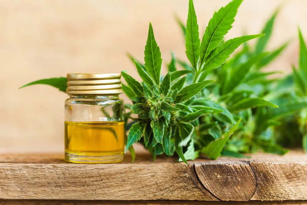 A HOLISTIC APPROACH TO HEALTH