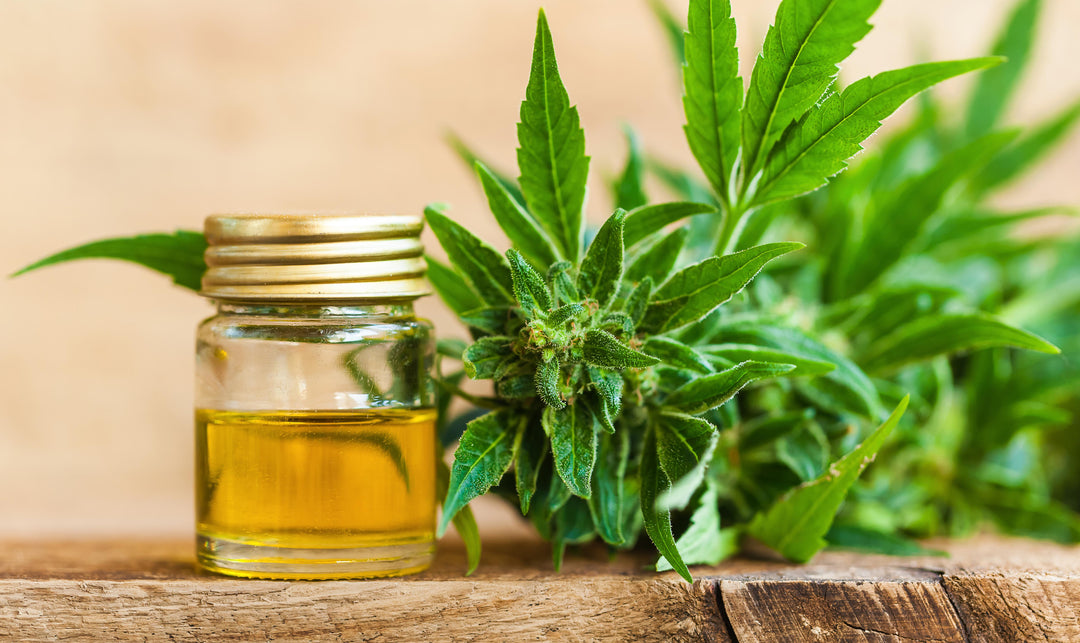 Protecting Your Skin Naturally: Hemp Oil as a Daily Moisturizer