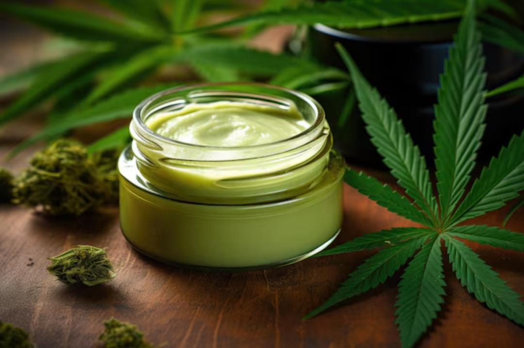 From Seed to Shelf: The Journey of Our Hemp Products