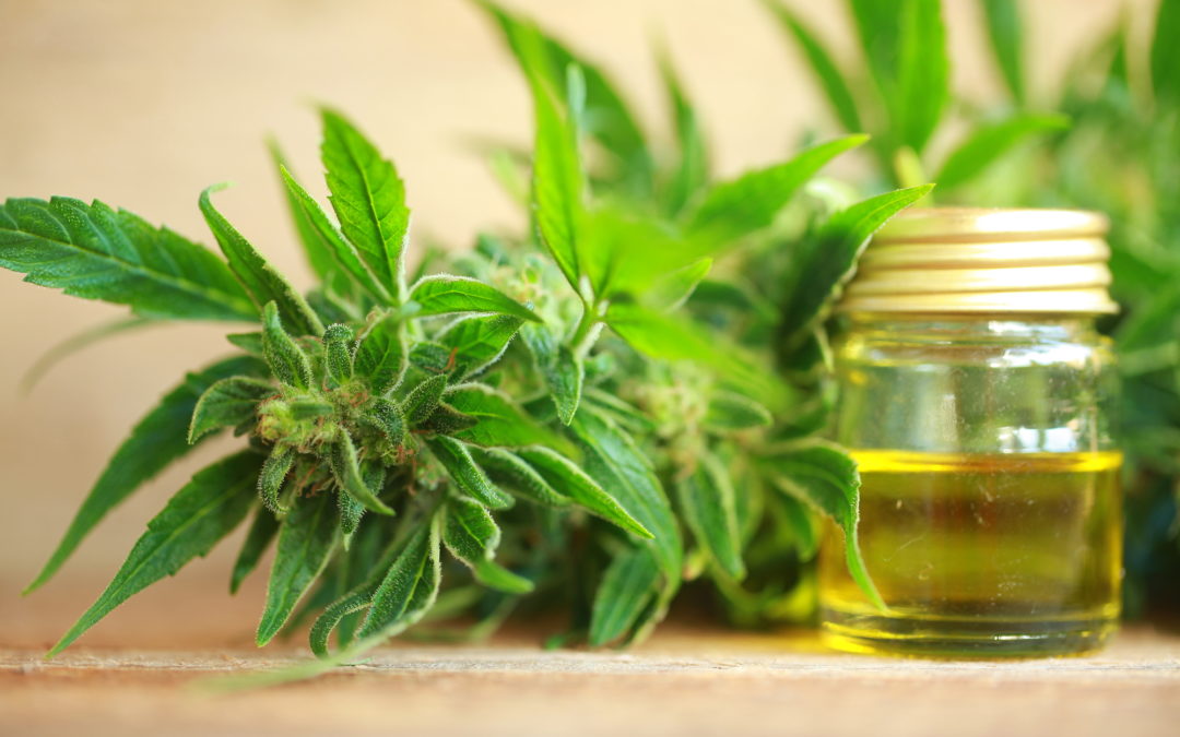 Hemp Oils