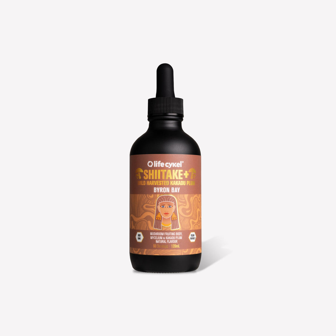 LIFECYKEL Mushroom Extract - Shiitake