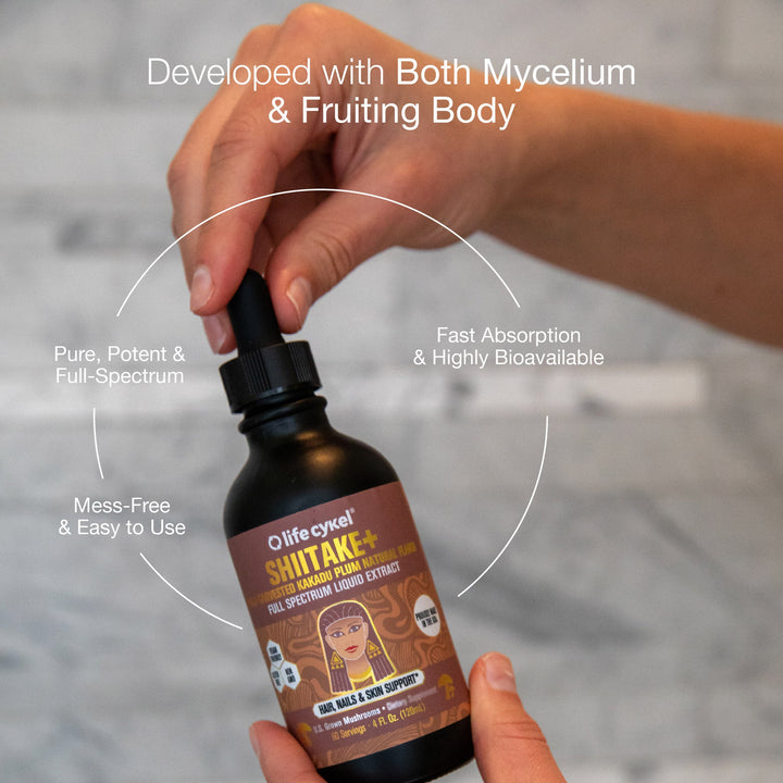 LIFECYKEL Mushroom Extract - Shiitake
